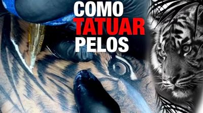 TIGER TATTOO TIME LAPSE